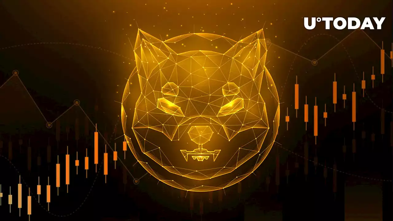 SHIB 30% Price Rally Puts It in Top 3 Most Profitable Cryptocurrencies