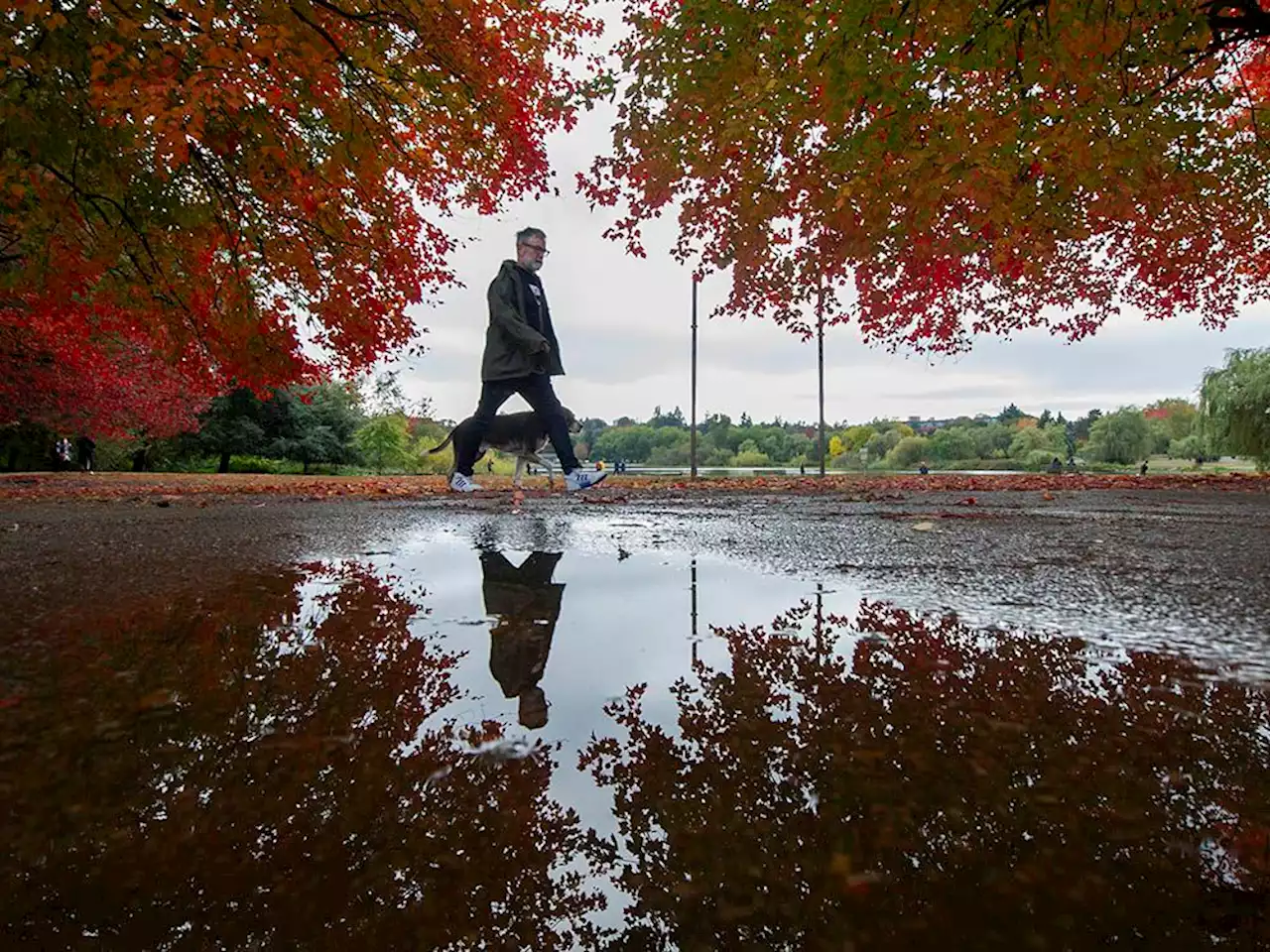 Vancouver weather: Warnings in effect as rain and wind continue Sunday