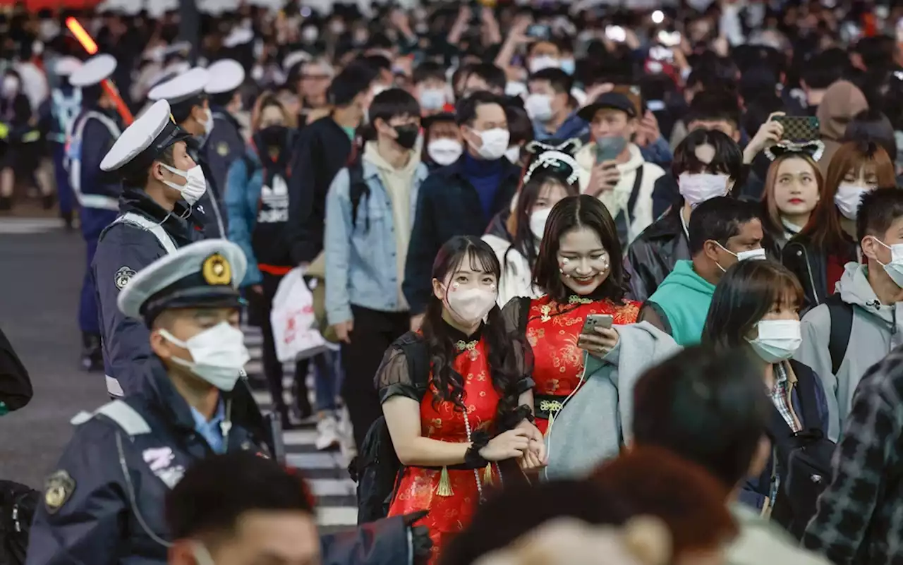 [이태원 참사] 핼러윈 앞두고 긴장했던 시부야 경비 강화(종합2보) | 연합뉴스