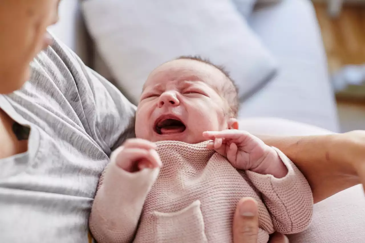 Keine Lust auf Babys: Warum gibt es so wenig Neugeborene wie seit 2007 nicht mehr?