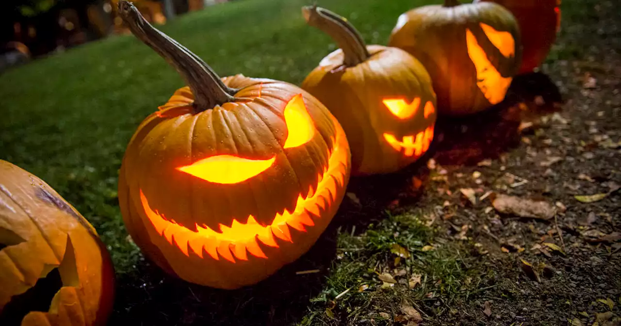 10 pumpkin parades are back at Toronto parks the night after Halloween