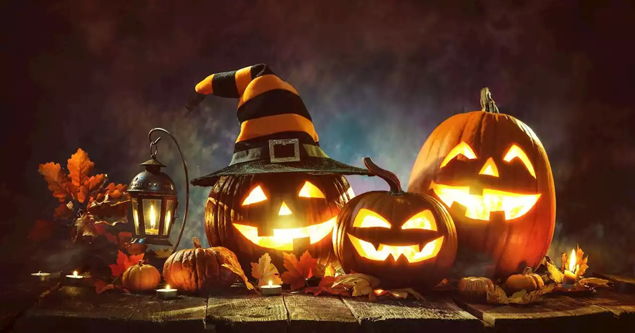 Zum Gruseln: Warum feiert man Halloween? Das hat es mit 'All Hallows Eve' auf sich