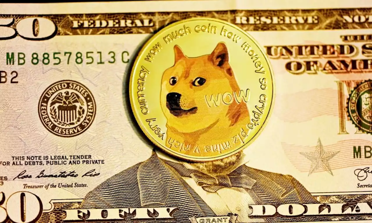 DOGE may touch the moon only to crash leaving investors in this bewildering state