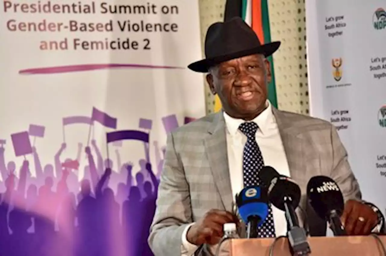 DNA backlog set to be erased by January - Cele