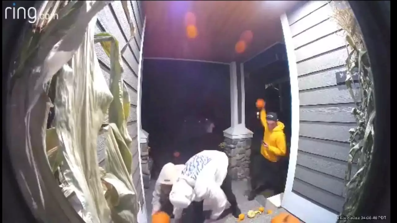 Group terrorizes homeowners across Pierce County vandalizing homes, Halloween decorations