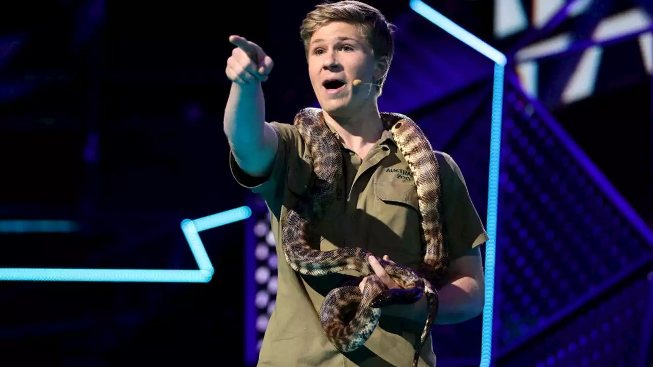 Steve Irwin's son, Robert, launches new career as photographer