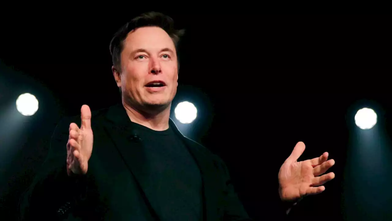 Elon Musk looking to bring back Vine as early as this year: report