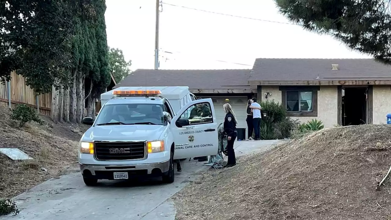 Teenage girl hospitalized after being attacked by dogs in her Thousand Oaks home