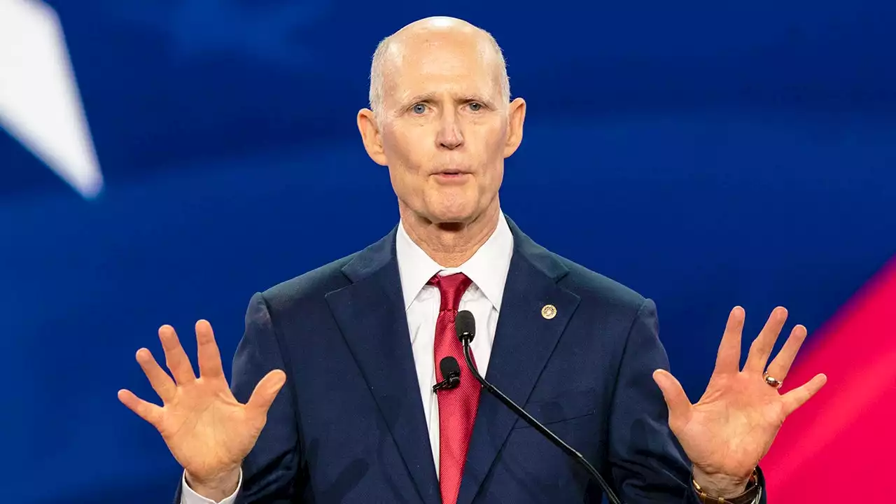 Sen. Rick Scott predicts GOP will end up with at least 52 Senate seats after midterms: 'This is our year'