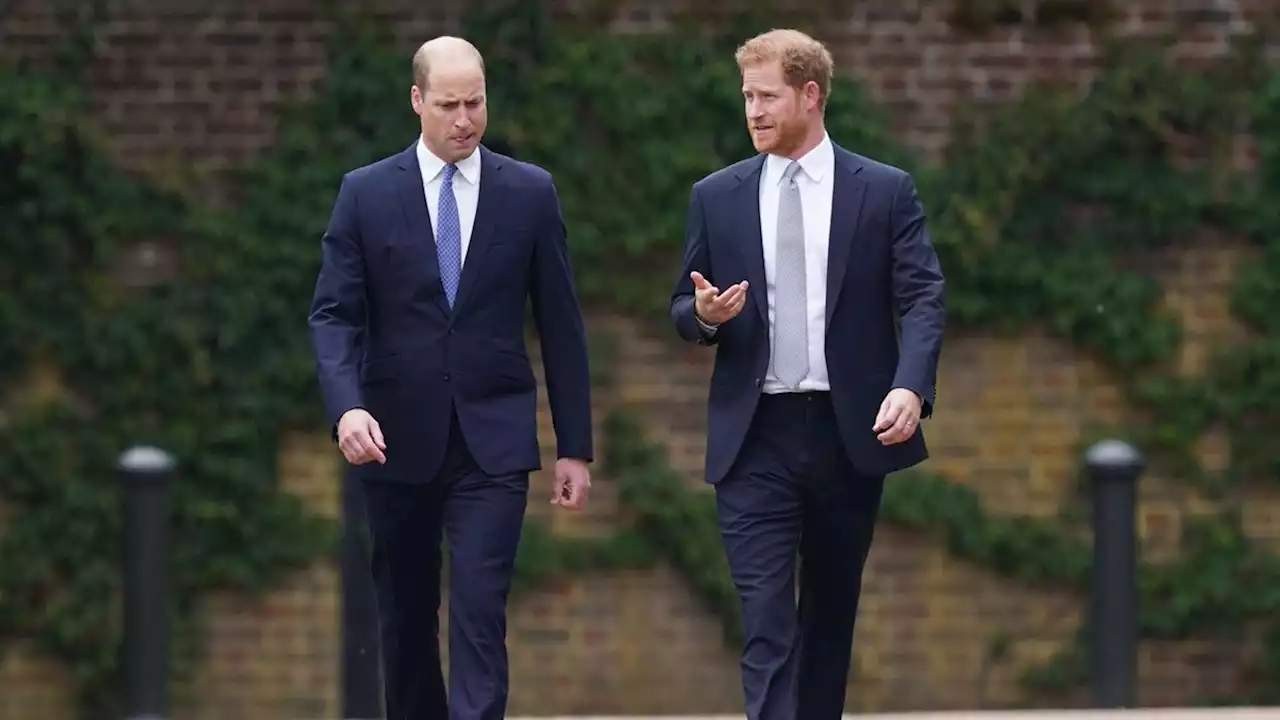 Prinz William hat 'kaum mit Harry gesprochen' – das ist der Grund