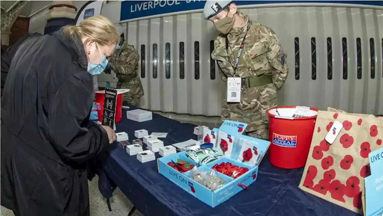 Poppies undergo major change after 54 years ahead of Armistice Day 2022