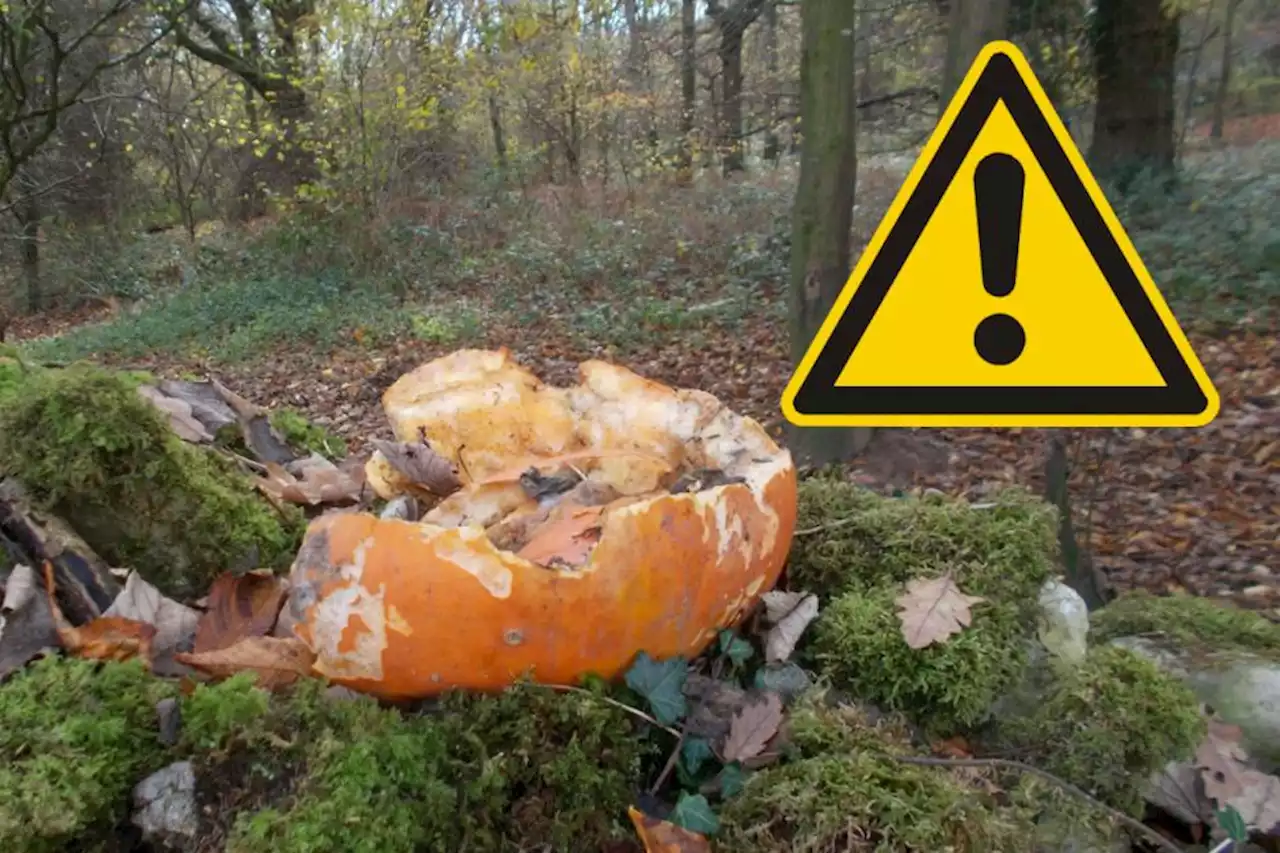 Urgent warning issued over 'pumpkin dumping' after Halloween