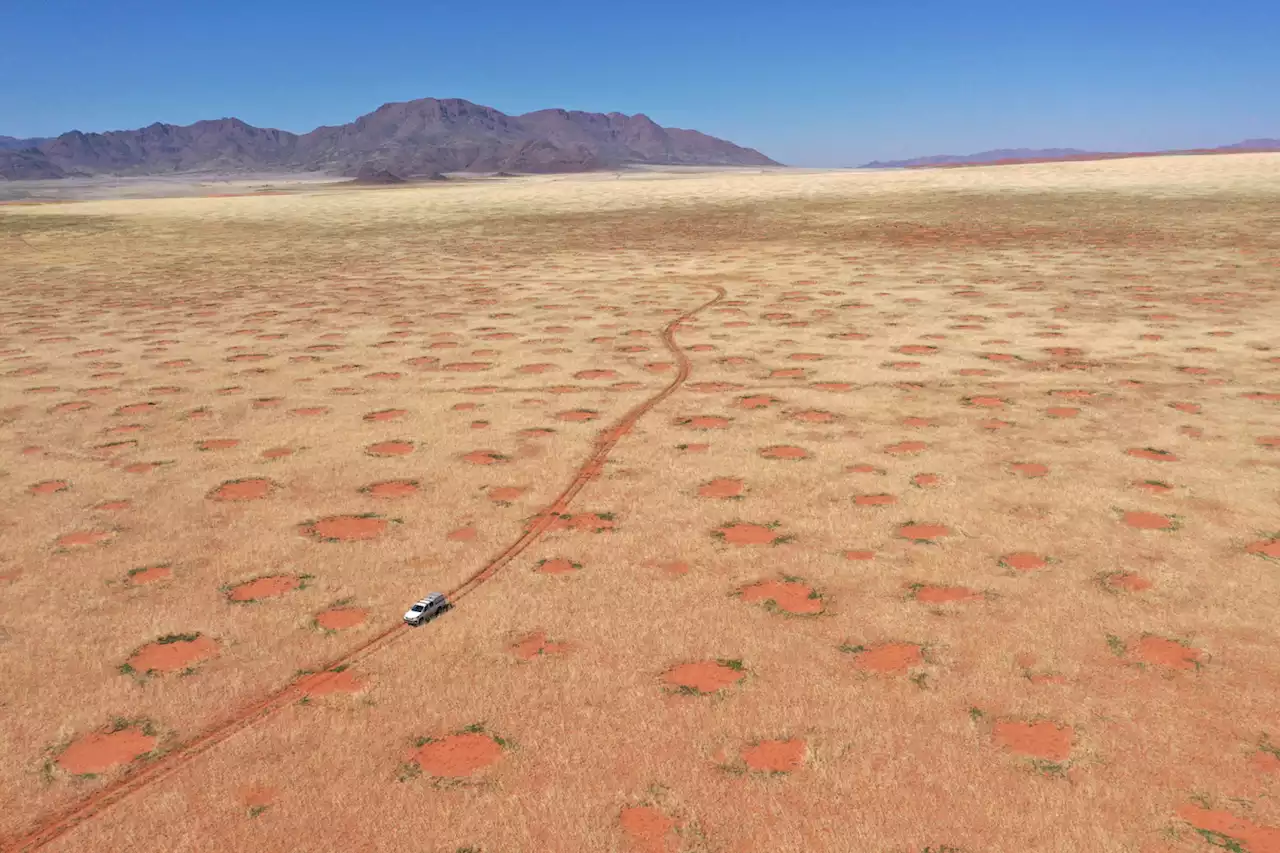 Researchers have solved the mystery of Namibia's fairy circles