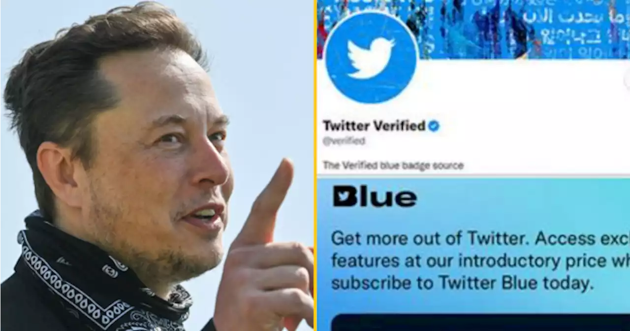 Elon Musk reportedly planning to introduce monthly $20 charge for blue-check on Twitter | JOE.ie