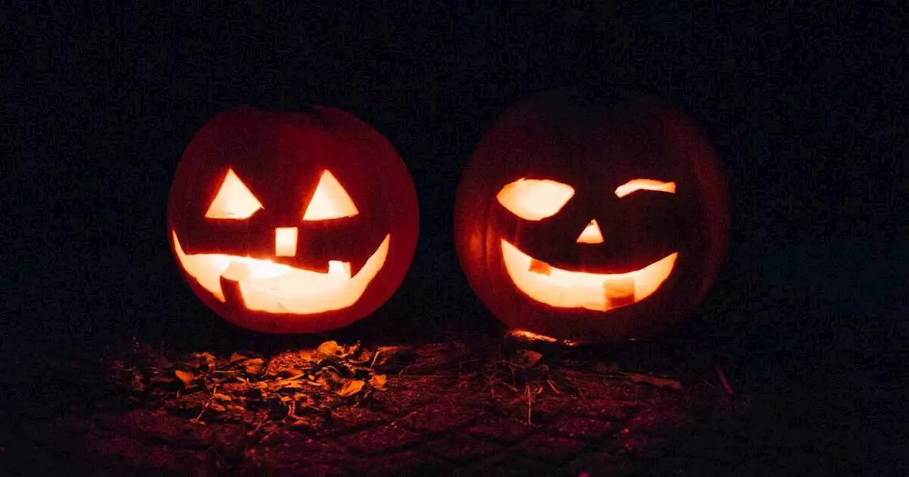 Best Things To Do This Halloween Week In Los Angeles And SoCal: Oct. 31 - Nov. 3