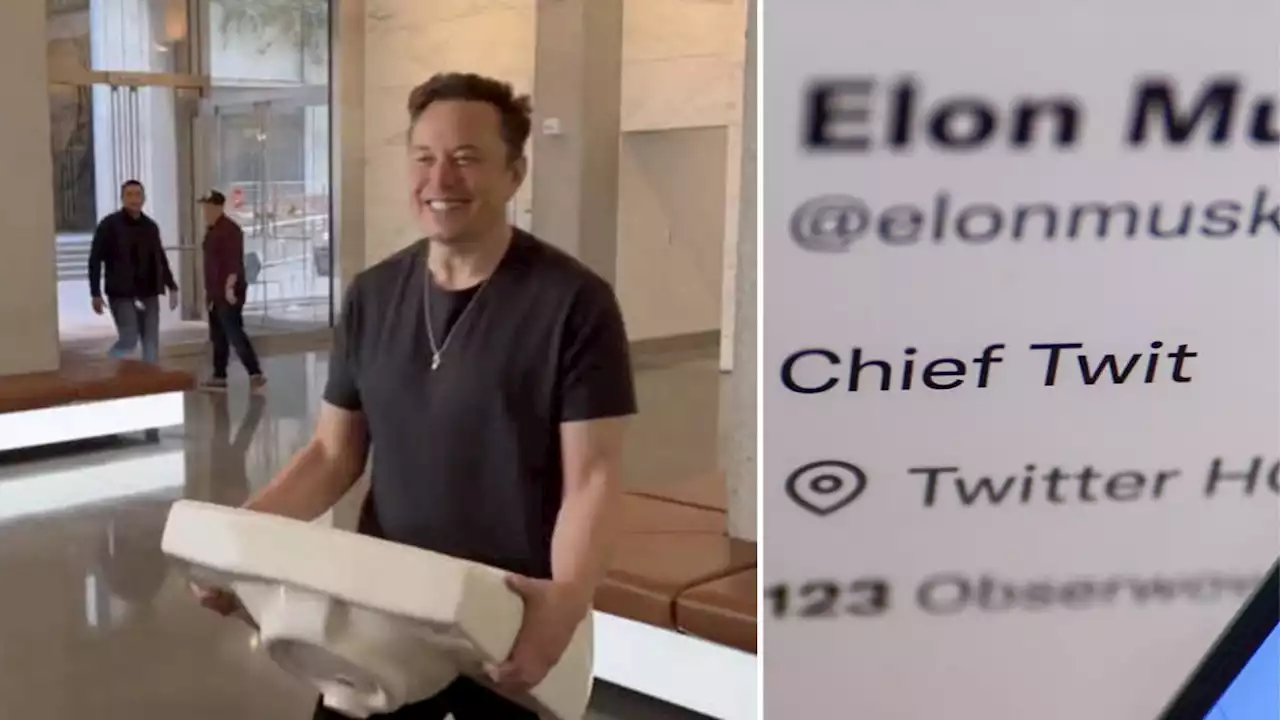 Elon Musk dissolves Twitter's board making him sole director of social media firm