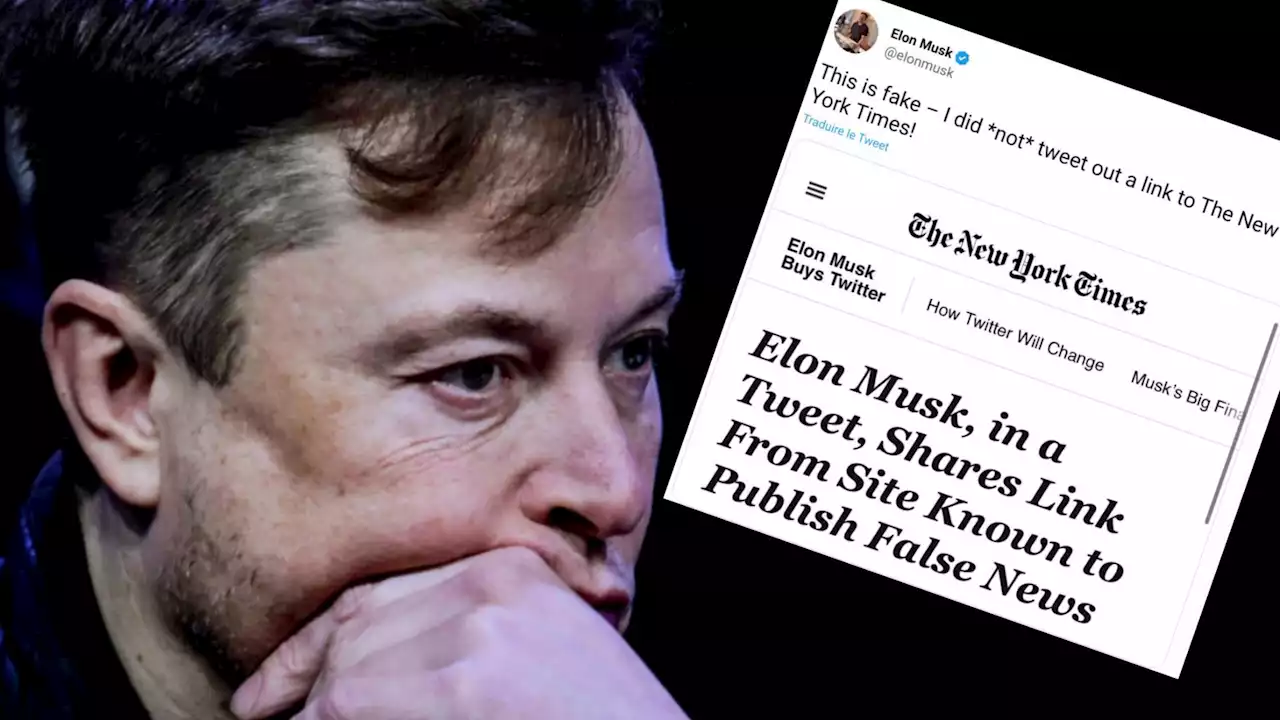 Elon Musk relaie sur Twitter un article complotiste, et confirme certaines craintes