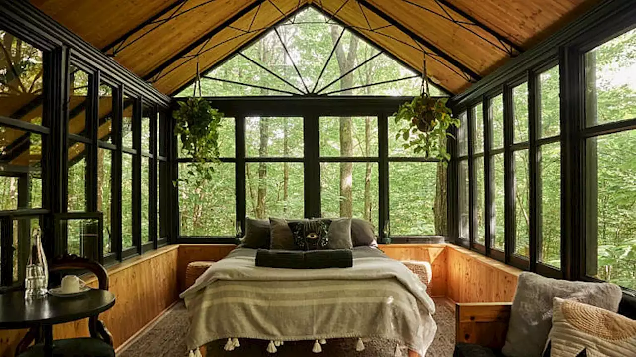 This couple moved from Montreal into a woodland treehouse - Macleans.ca