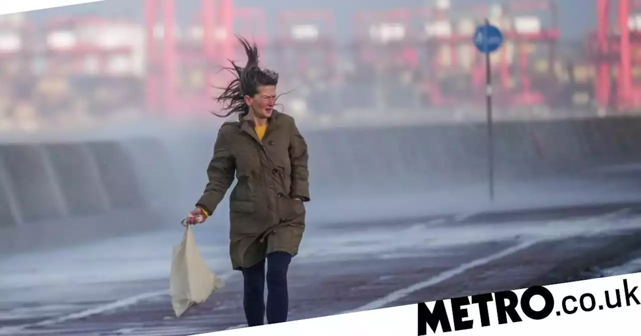 60mph winds could cause power cuts after yellow weather warnings issued