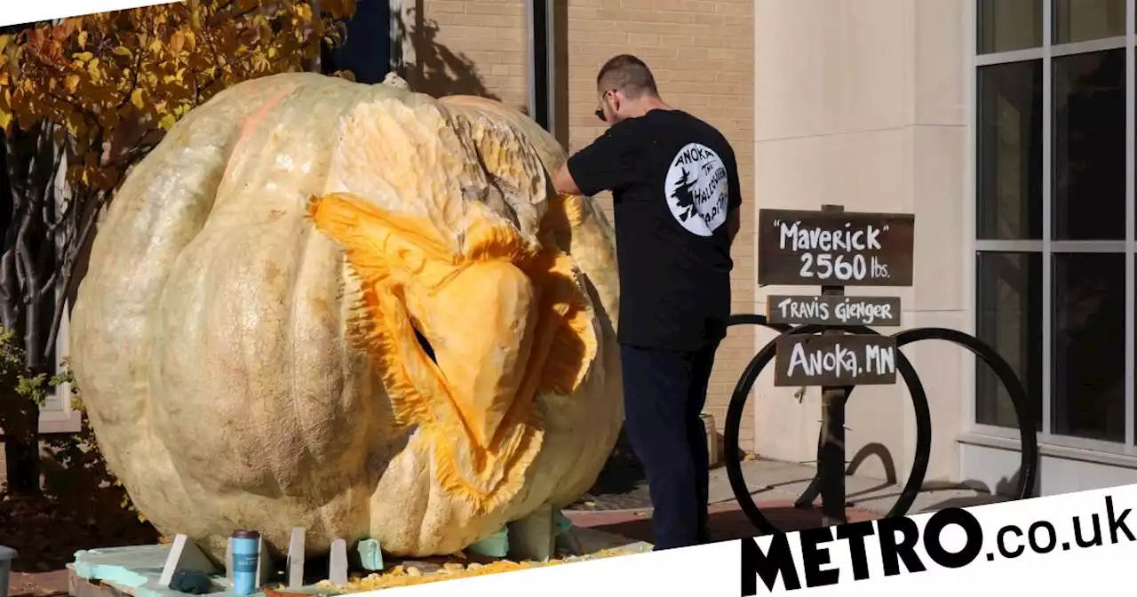 The largest pumpkin in American history is being carved into an eagle