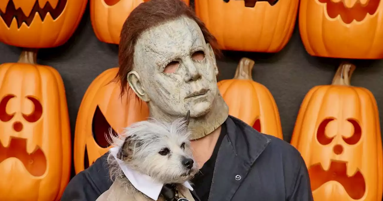 All the Ookiest, Spookiest, and Kookiest Celebrity Halloween Costumes