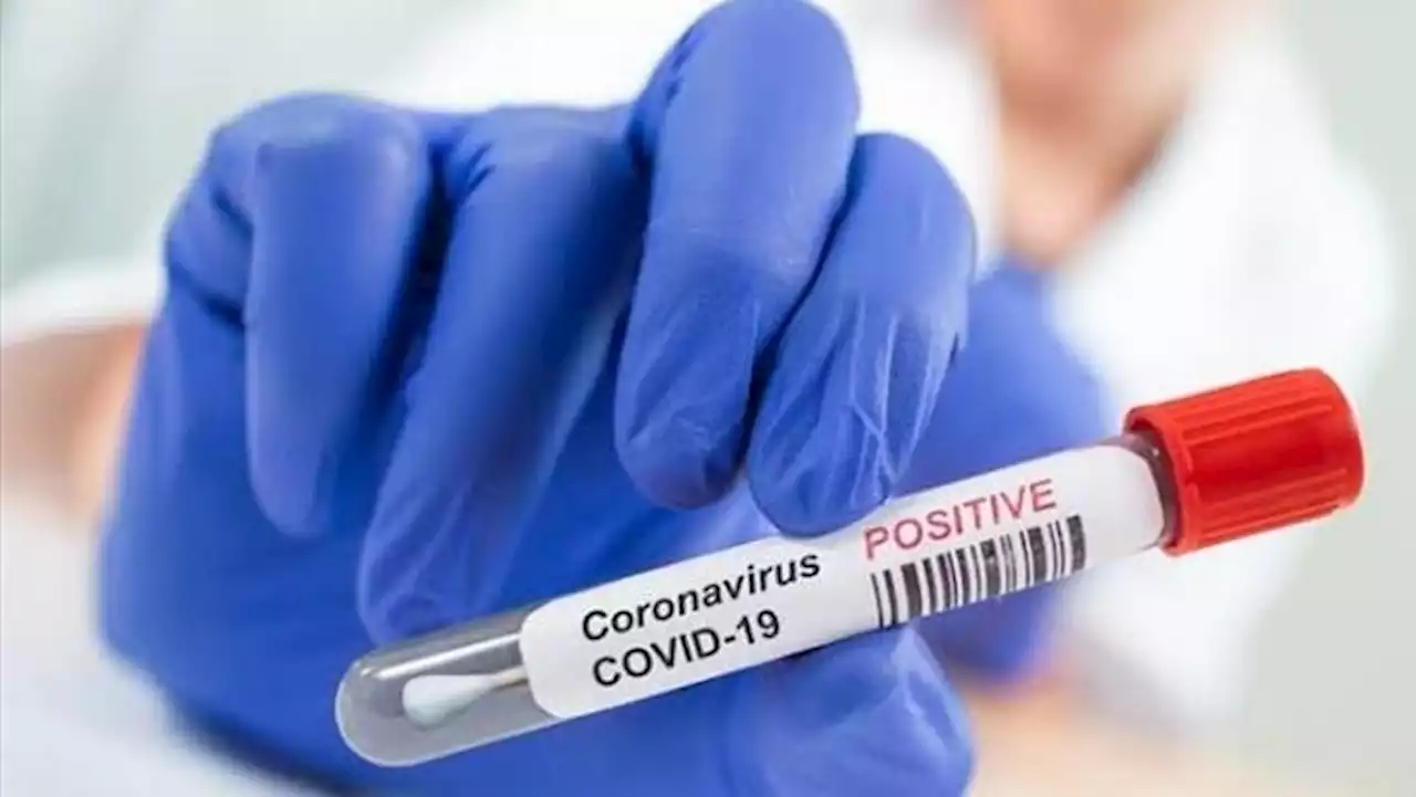 COVID-19: Nigeria ranks 10th as Africa records over 12.3 million infections, 256,900 deaths - WHO