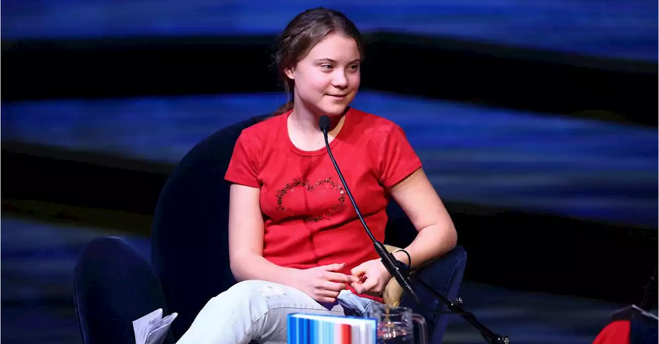 Greta Thunberg: COP27 an opportunity for 'greenwashing, lying and cheating'