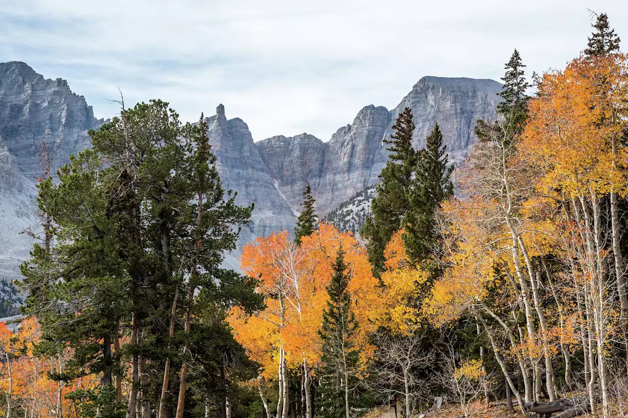 A 10-hour drive on loneliest US road is worth it for this park