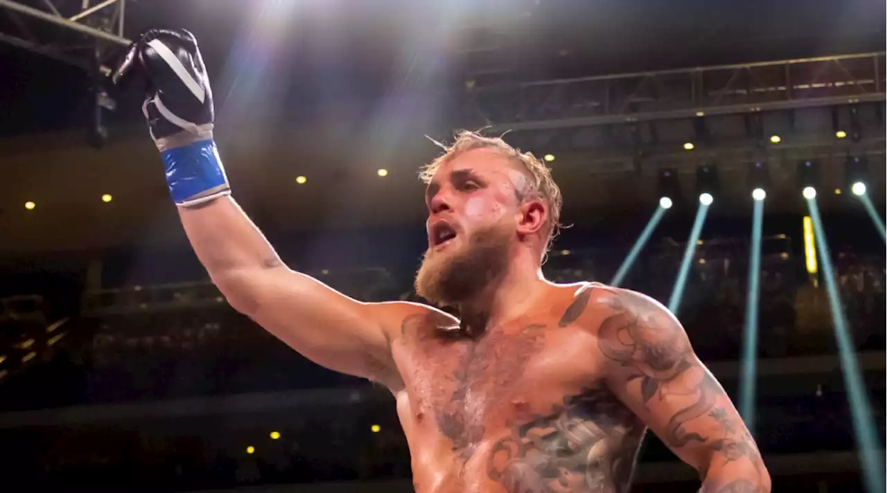 Jake Paul Calls Out Diaz, Alvarez After Win Over Silva