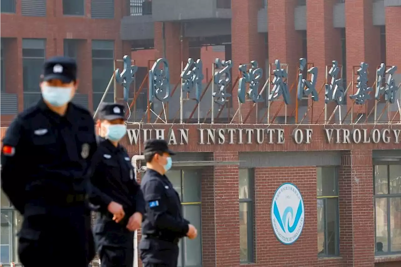 China dismisses ‘fabricated’ Covid-19 leak theory revived by report