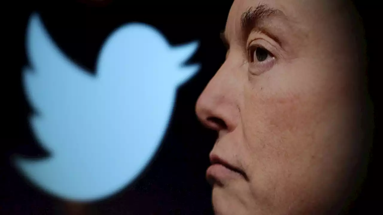 Elon Musk und Twitter: Mikado der Macht