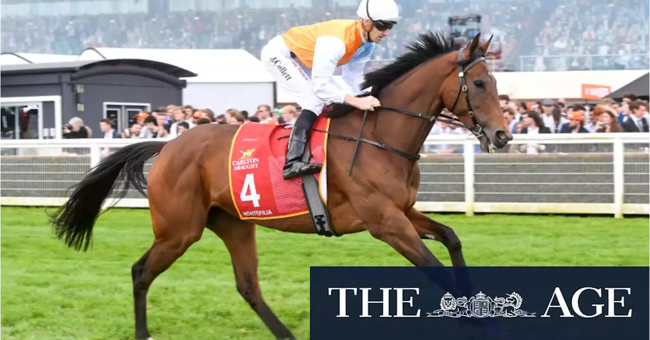 Analyst tips the A+ contenders, and the sleepers, for the Melbourne Cup