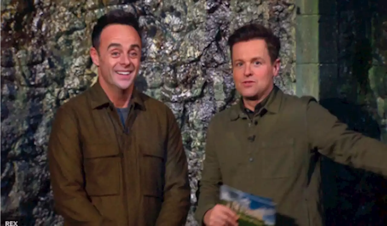 I'm A Celeb campmates to face cockroach, mosquito and giant spider infestation