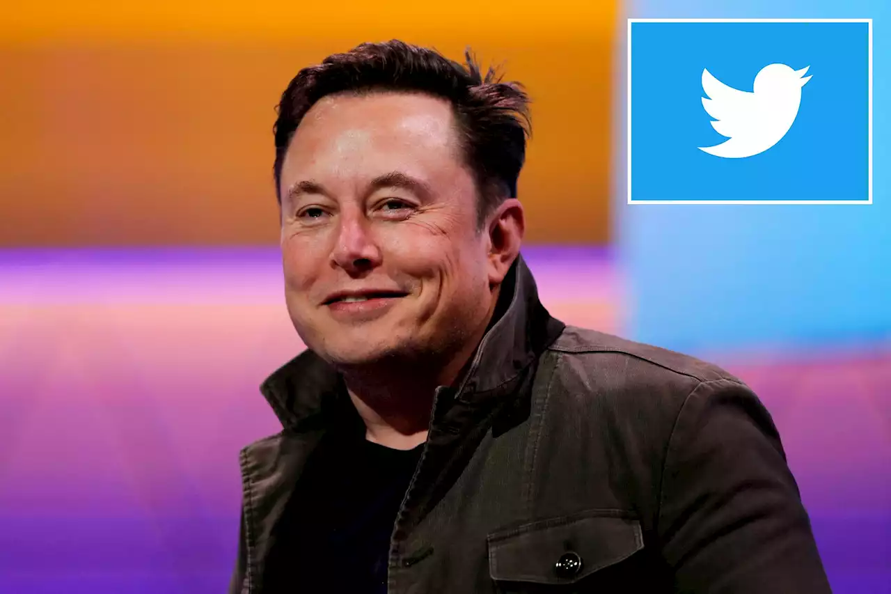 Twitter fans outraged as Elon Musk pushes to charge $20 for key feature