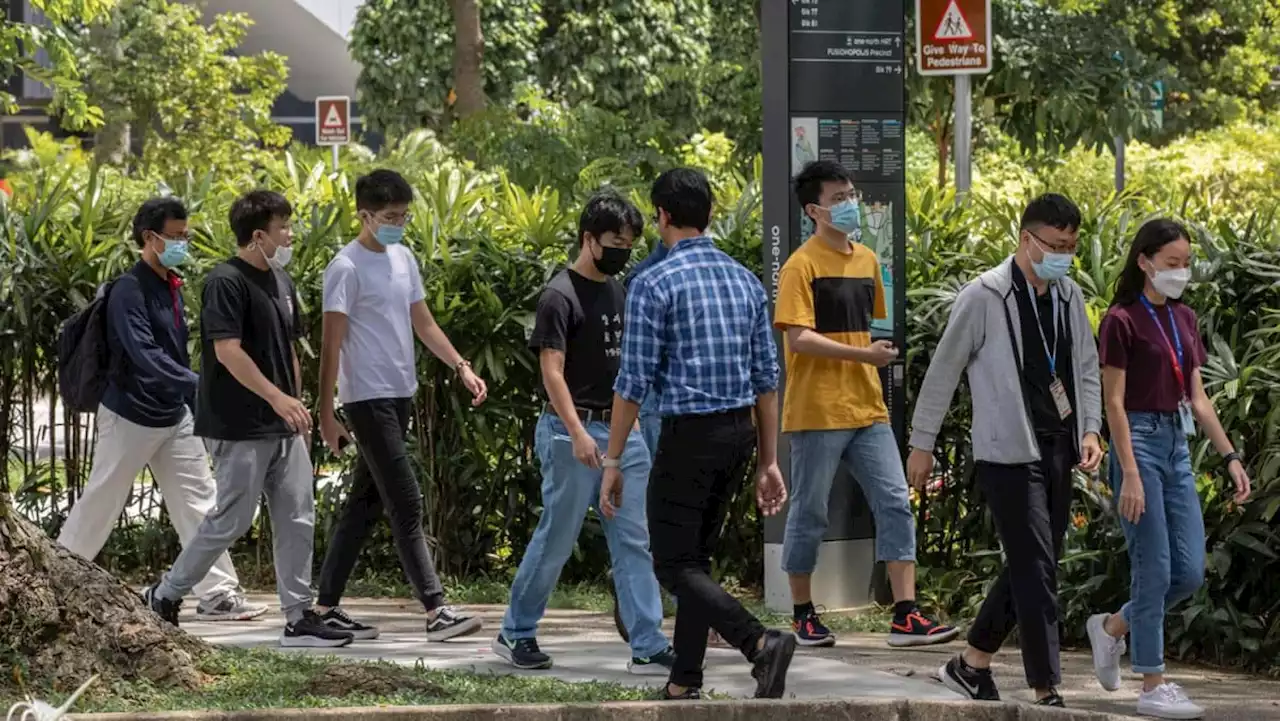 The Big Read in short: Having overcome naysayers, S'pore's startup scene needs to raise its game once more