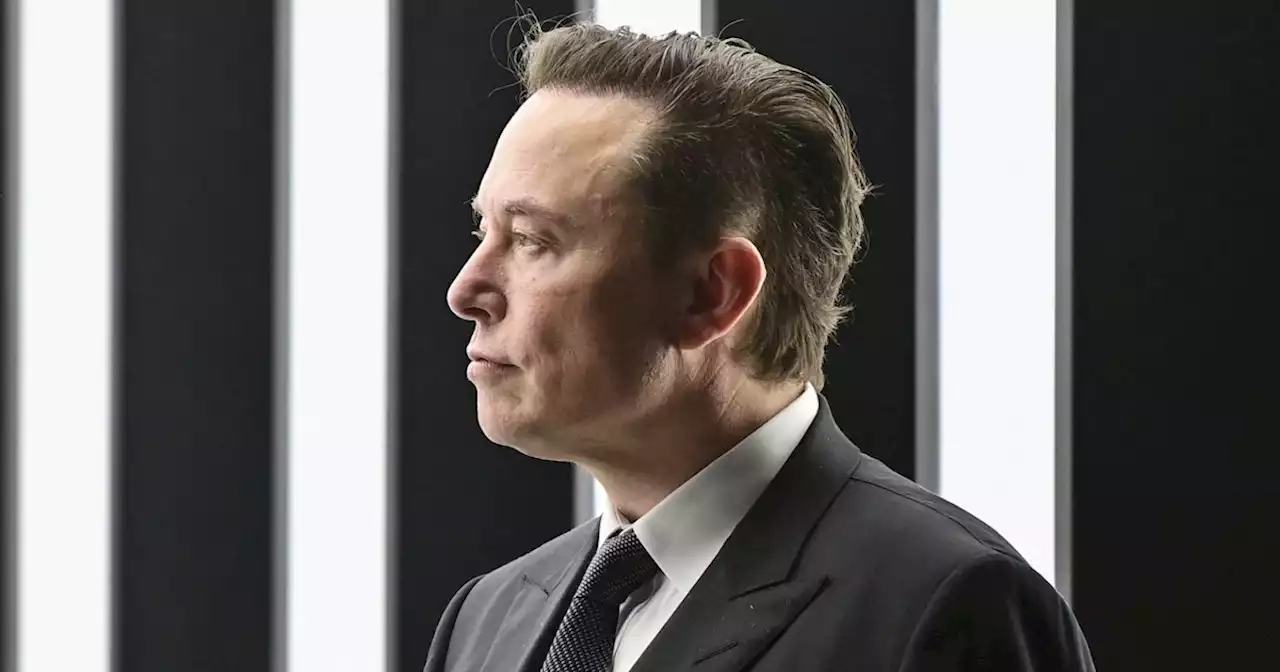 Elon Musk, new owner of Twitter, tweets unfounded, anti-LGBTQ conspiracy theory about Paul Pelosi attack