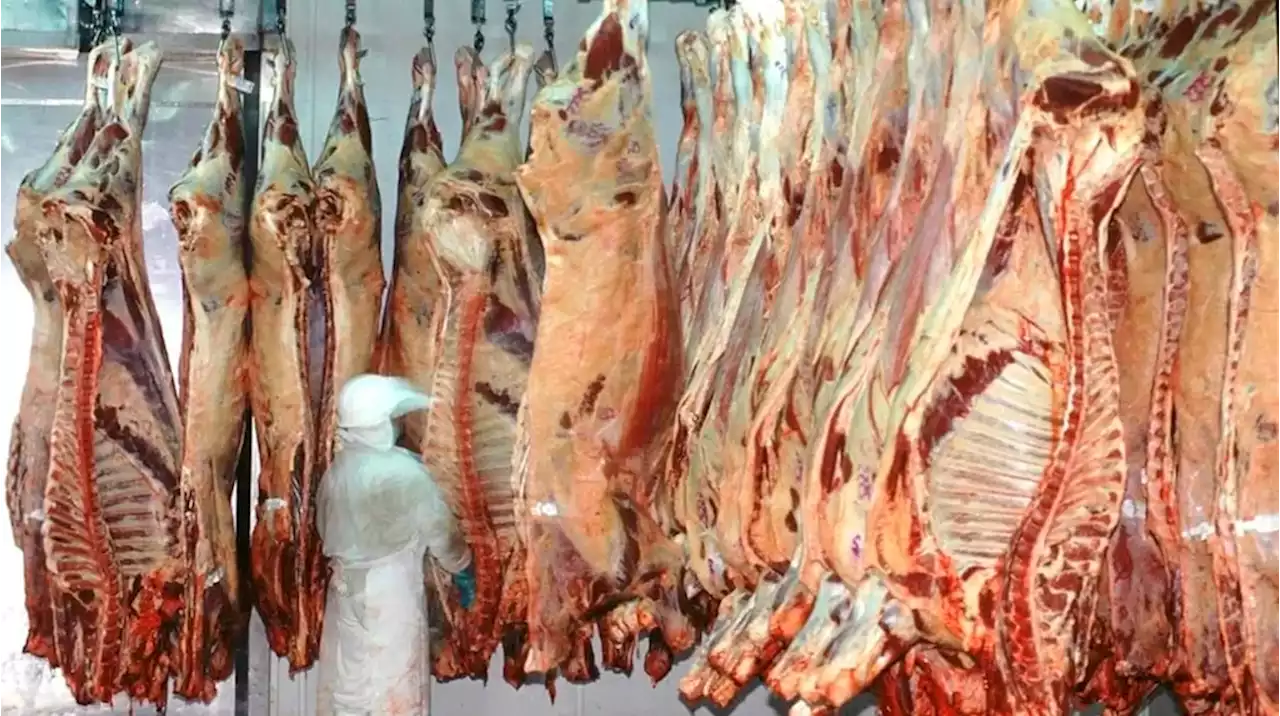 En rechazo al troceo, algunos frigoríficos paralizan sus actividades y podría faltar carne