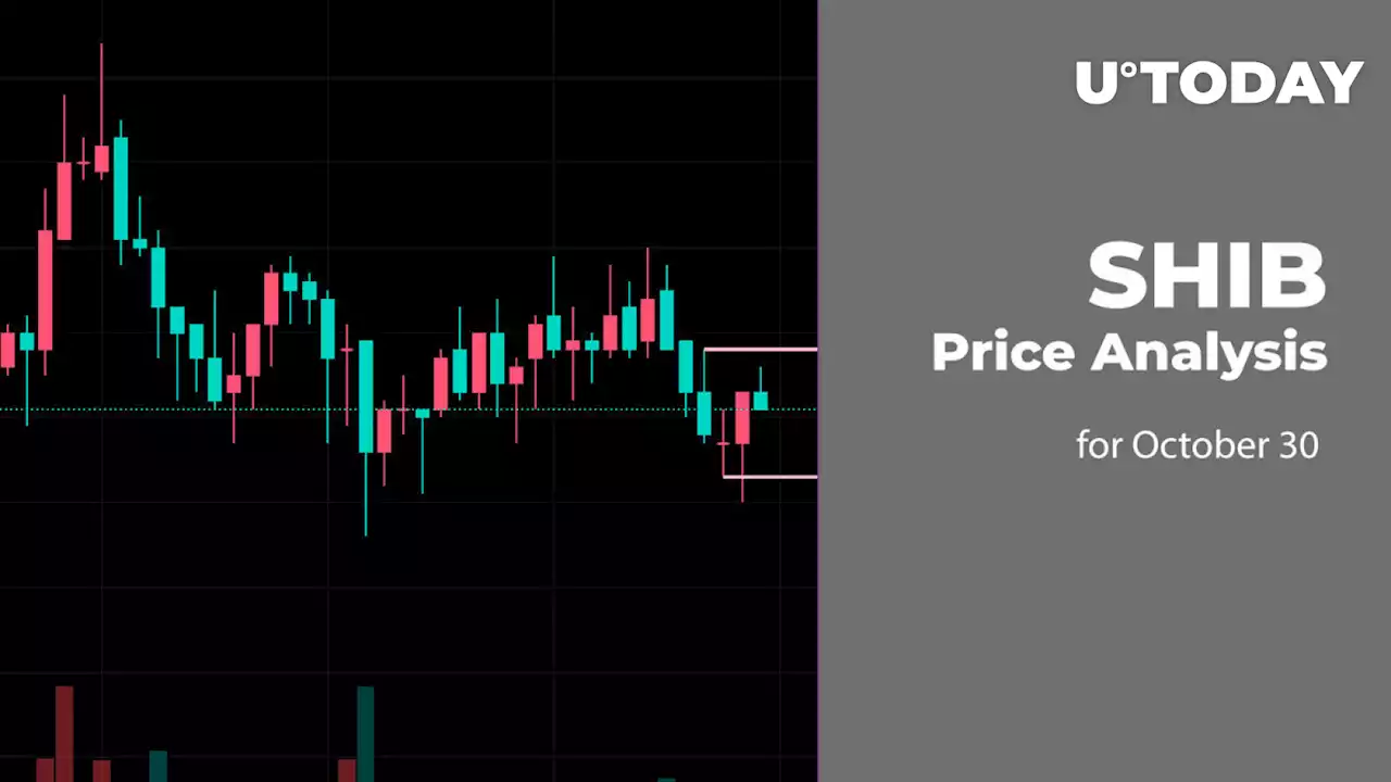 SHIB Price Analysis for October 30