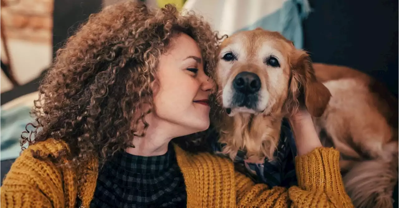 6 Ways Owning a Dog Can Help if You Have Breast Cancer