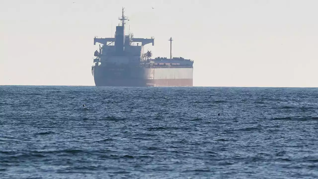 Getreidefrachter sollen weiter über Schwarzes Meer ausfahren