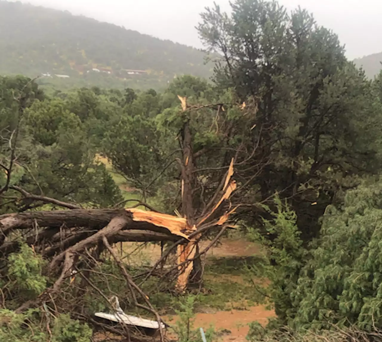 Tornado strikes in northern Arizona, near Williams, Monday afternoon