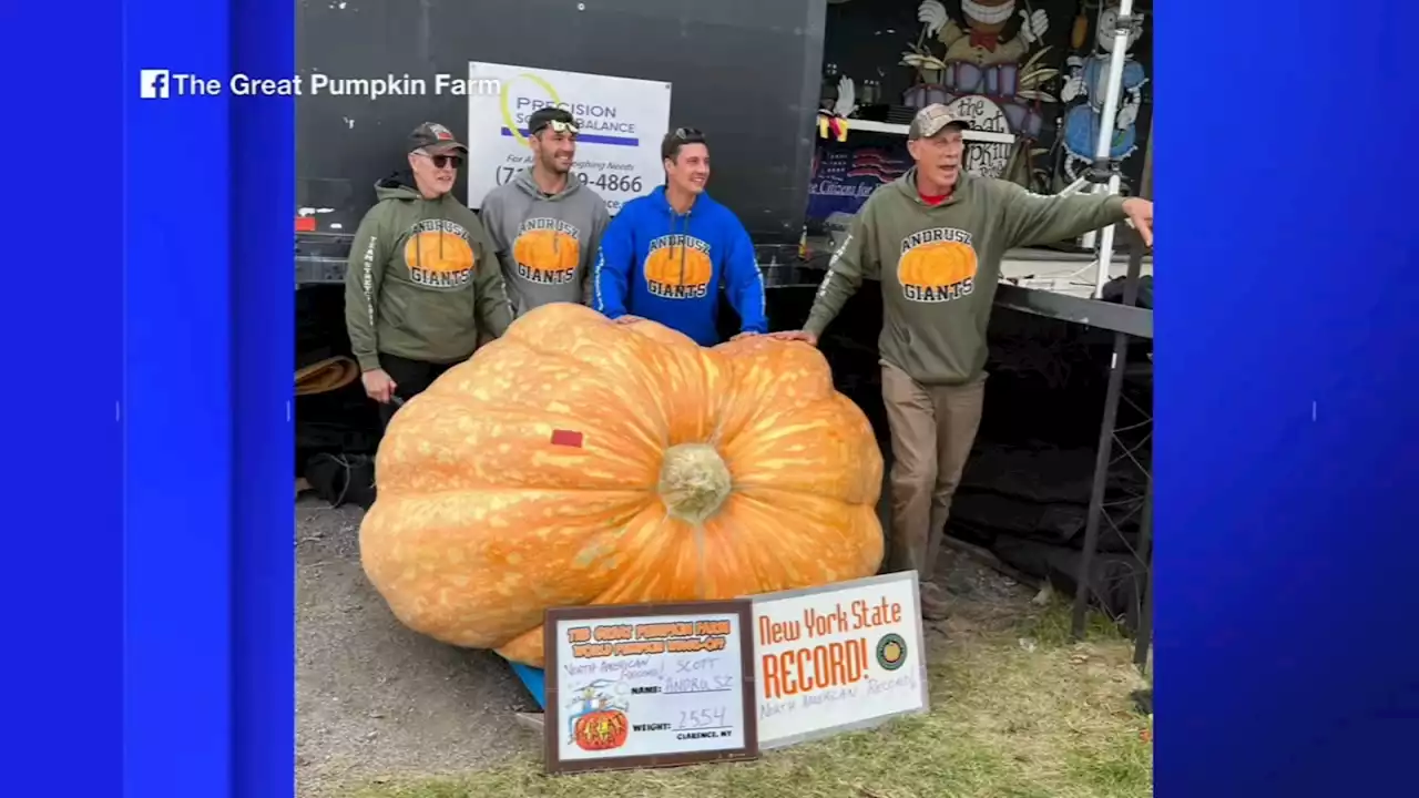 Lancaster pumpkin weighing over 2,500 pounds sets new North America record