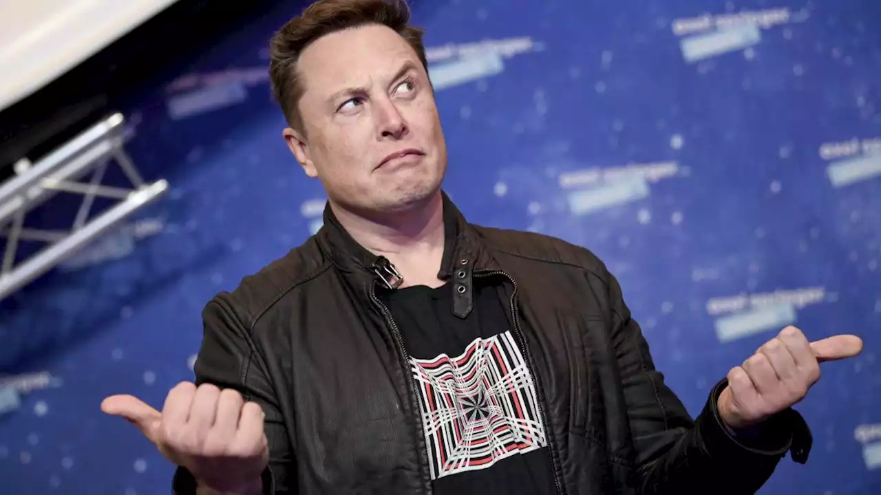 Elon Musk twitta 'il piano di pace'. E l'Ucraina si arrabbia