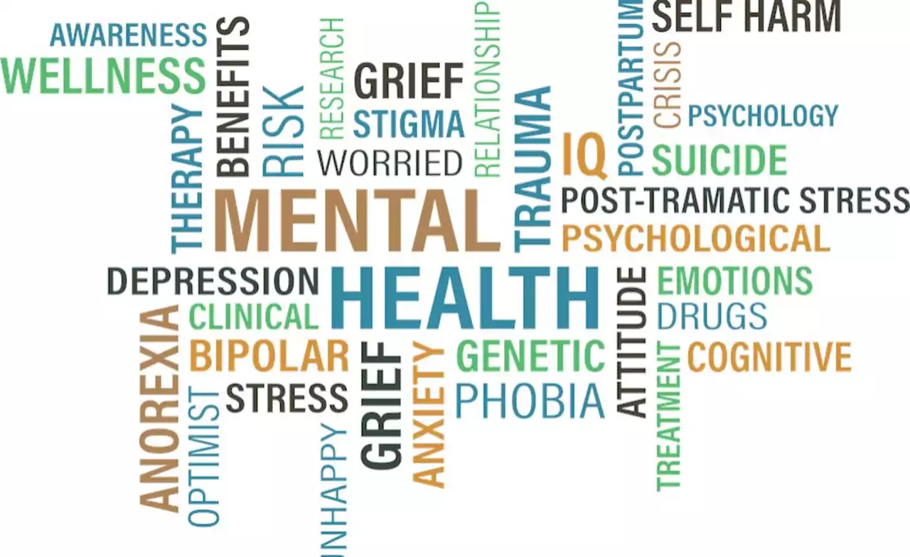 Uganda: Lawmakers Urge Govt to Increase Funding for Mental Health Services