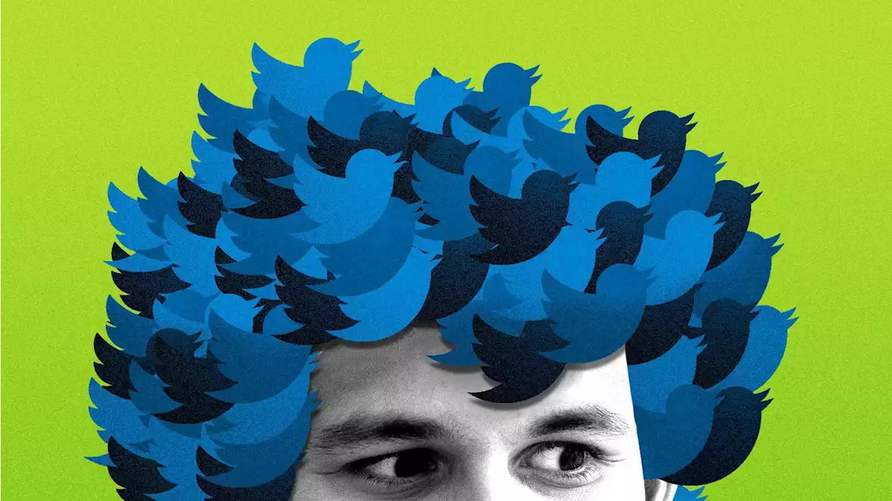 Inside Sam Bankman-Fried's flirtation with Elon Musk and Twitter