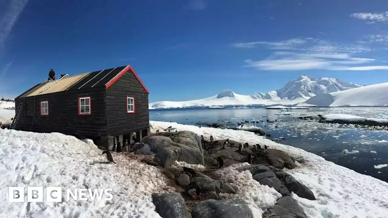 Four women to run post office and count penguins in Antarctica