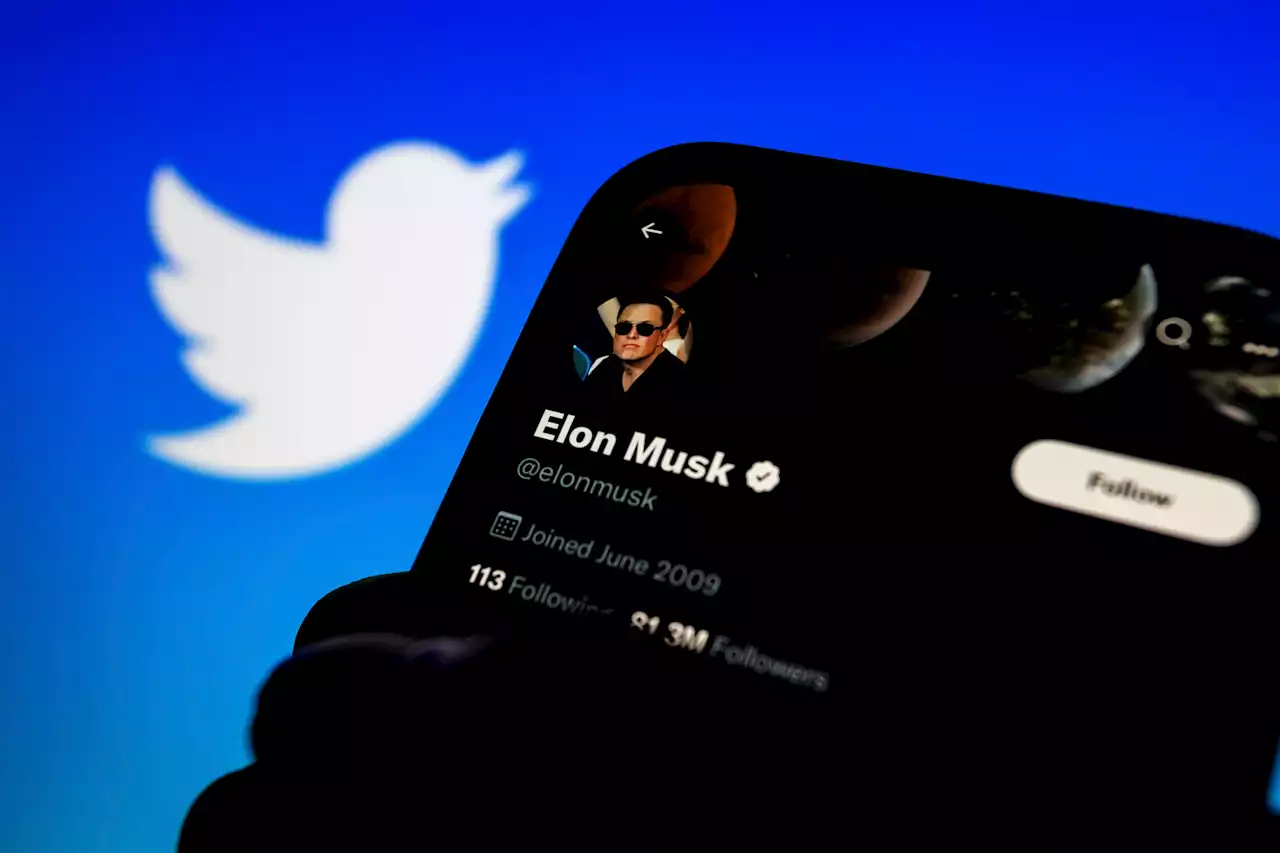 Musk und Selenskyj liefern sich Twitter-Streit über Friedensplan