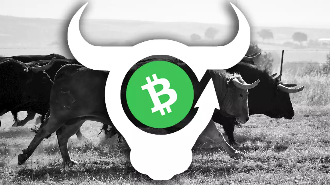 Decentralized App BCH Bull Prepares for Launch, Platform Allows Users to Long or Hedge Bitcoin Cash Against a Myriad of Tradeable Assets – Defi Bitcoin News