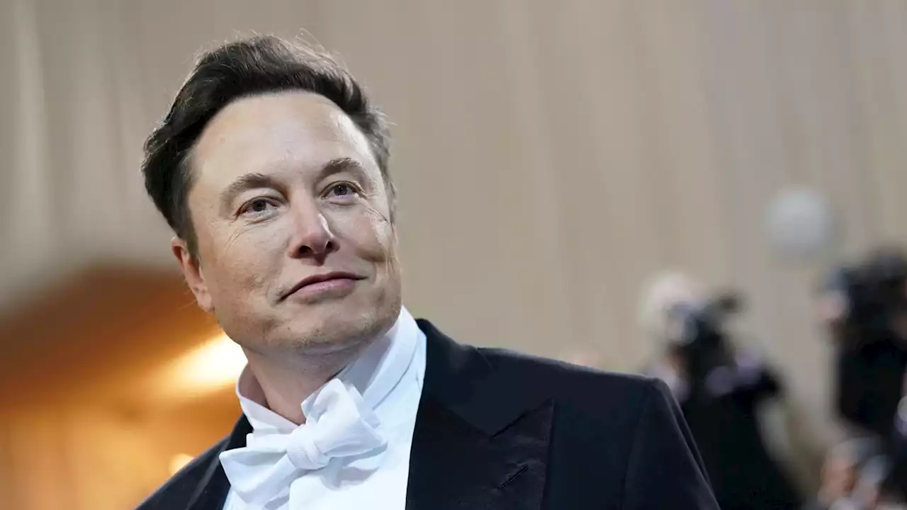 Elon Musk und sein absurder Friedensplan für die Ukraine