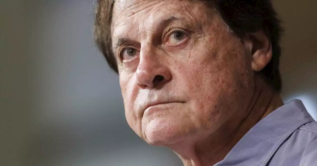 Search begins for a new Chicago White Sox manager as Tony La Russa steps down after health issues make it ‘impossible’ to continue